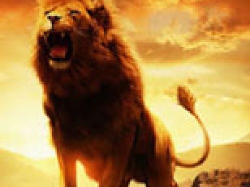 ZIMBABWE REVOCA DIVIETO CACCIA A LEONI, LEOPARDI ED ELEFANTI