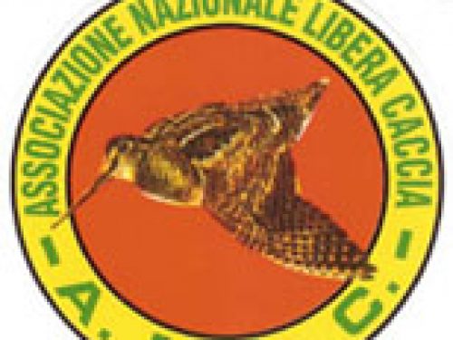 NON C´E´ PEGGIOR CIECO DI CHI NON VUOL VEDERE!!