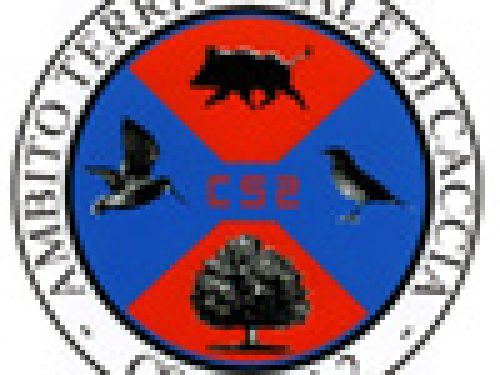 ATC COSENZA 2: IL SITO