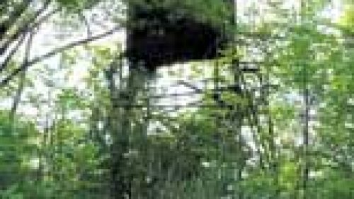 VENETO: CACCIA, LEGGE APPROVATA SU APPOSTAMENTI FISSI