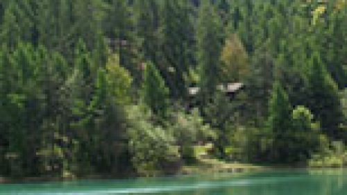 TRENTO: SOLO OSPITI NELLA NOSTRA RISERVA DI CACCIA