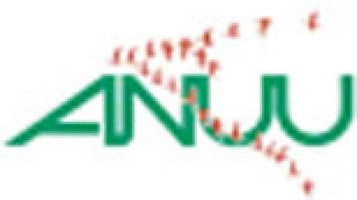 ANALISI DELLE ALI DEI TORDI: UN’INDAGINE SENZA SOSTA