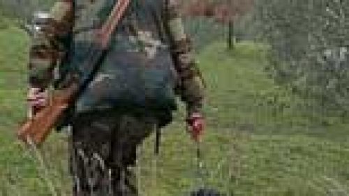 FRIULI: RIABILITATO IL PFV