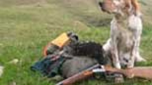 LA REGIONE PIEMONTE RISPONDE PER LE RIME AI CACCIATORI