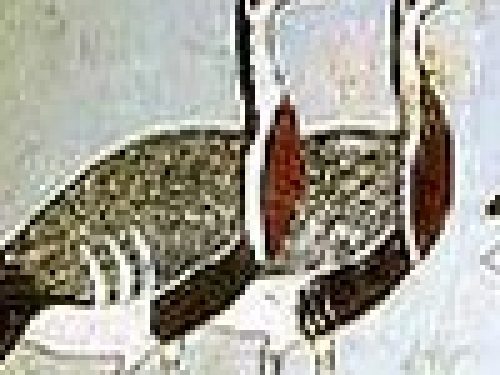 A CACCIA NELLA STORIA: L´ANTICO EGITTO