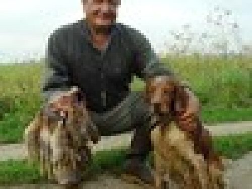 CARTUCCE DA CACCIA: MODALITA’ DA SEGUIRE PER RAGGIUNGERE LE MIGLIORI PRESTAZIONI (2° Parte) dell´Ing Claudio Leonetti