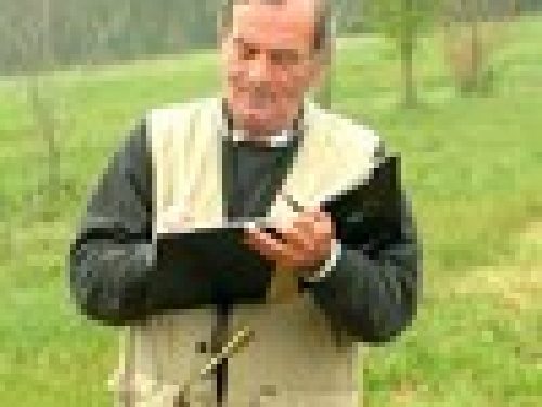 GARE COL CANE DA FERMA E SPANIELS:  IL GIUDICE di Angelo Di Maggio