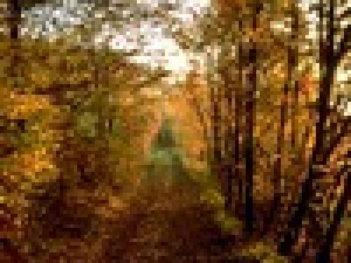 UN GIORNO DI CACCIA di Armando Russo
