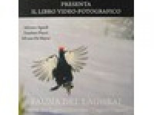 FAUNA DEL LAGORAI
