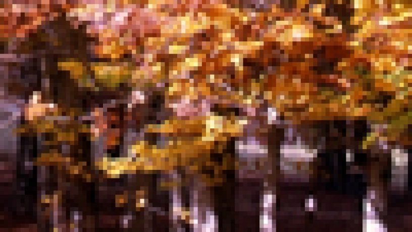 PENSIERI D´AUTUNNO di Armando Russo