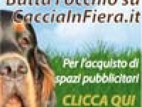 LE VOSTRE OPPORTUNITA´ PROMOZIONALI