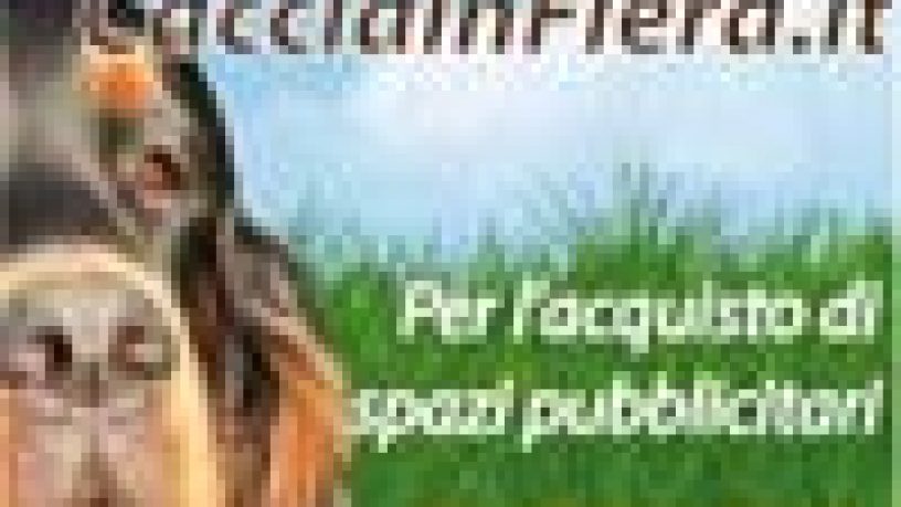 LE VOSTRE OPPORTUNITA´ PROMOZIONALI