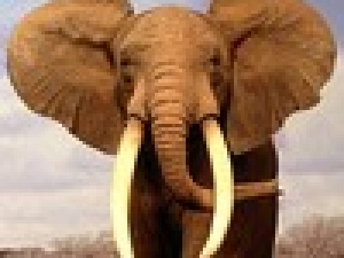 BLINDATA CONTRO MONOLITICA (1° Parte) di Haley & Leonetti