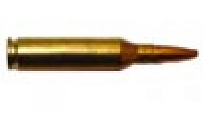 CARTUCCE PER CARABINA: .243 WINCHESTER