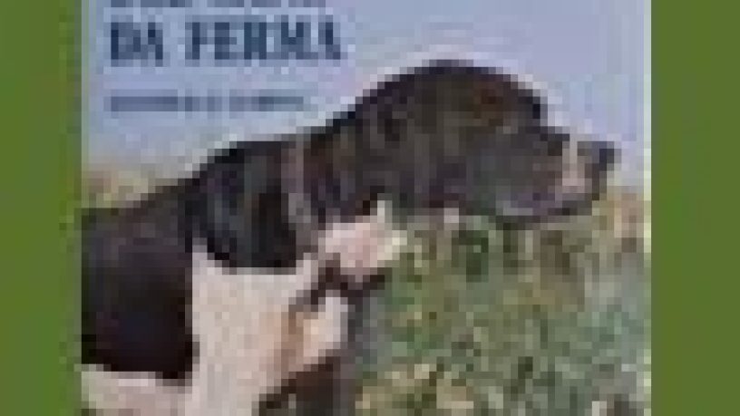 ADDESTRAMENTO DEL CANE DA FERMA