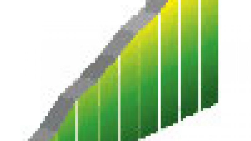 STATISTICHE DI ACCESSO AL SITO