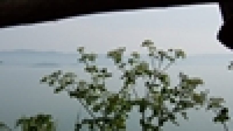 A CUNEO CONVEGNO DELLA FEDERCACCIA PIEMONTE SU ATC E CA