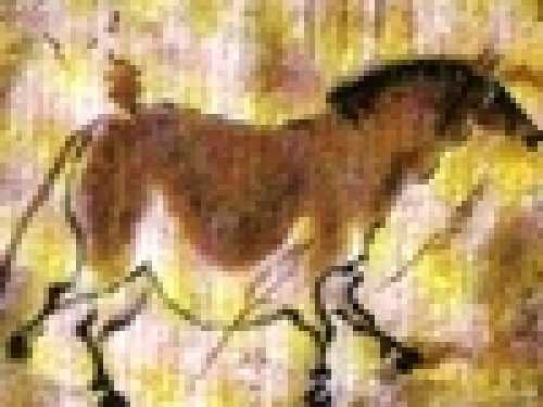 A CACCIA DI MAMMUTH  (prima parte)
