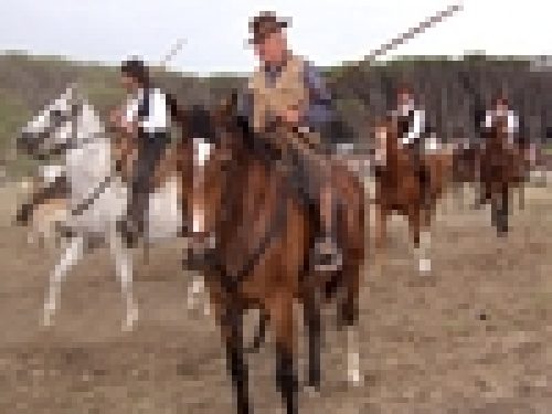 GAME FAIR 2008: LA FIERA …DELLE EMOZIONI