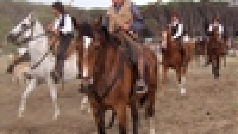 GAME FAIR 2008: LA FIERA …DELLE EMOZIONI