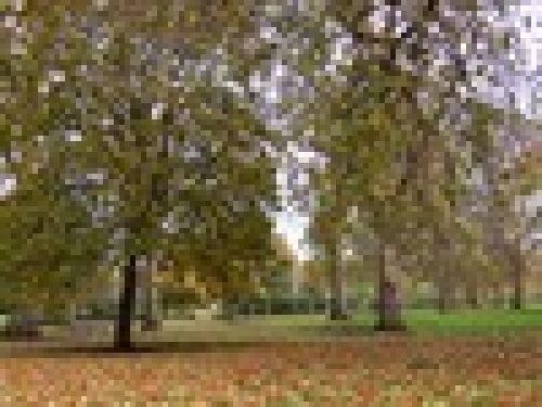 I CHIARIMENTI DELL´ARCICACCIA IN MERITO ALL´INCONTRO CON IL MINISTERO DELLE POLITICHE AGRICOLE
