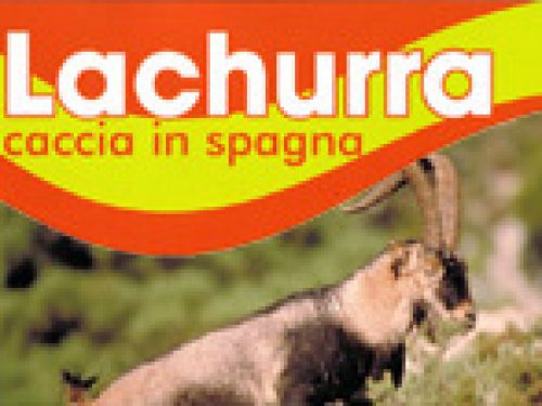 LACHURRA CACCIA IN SPAGNA