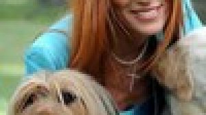 BEFFA BRAMBILLA, LECCO CHIUDE IL SUO CANILE “VECCHIO E SPORCO”