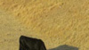 TOSCANA: PER COLPA DI ULISSE CINGHIALI E DAINI LASCIANO A SECCO GLI ALLEVAMENTI