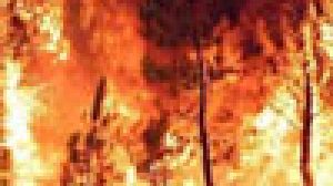 I CACCIATORI COINVOLTI NEGLI INCENDI? SI PER PREVENIRLI E SPEGNERLI