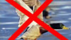 TOSCANA: PRE APERTURA SENZA ACQUATICI
