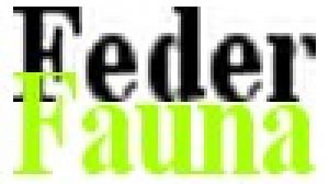 FEDERFAUNA: ANIMALI, E´ ALLARME MERCATO NERO