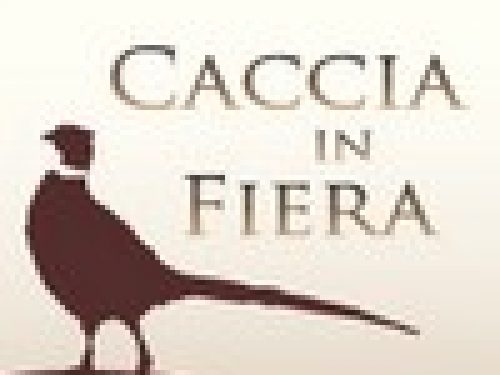 IL BANNER PROMOZIONALE: IL VALORE DI UN CLICK