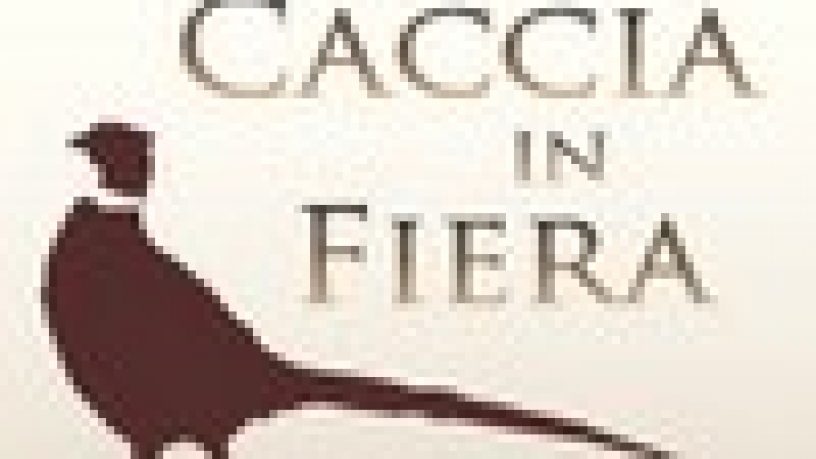 IL BANNER PROMOZIONALE: IL VALORE DI UN CLICK