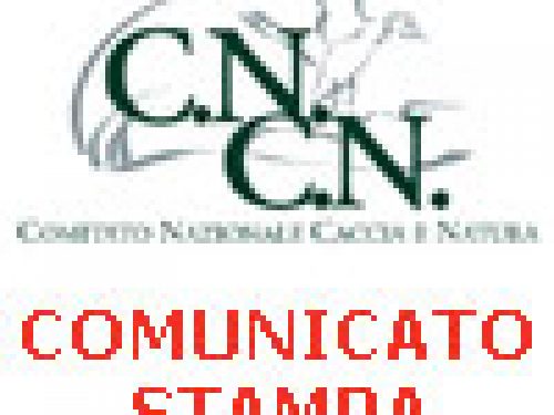 CNCN: ..E NOI VOTIAMO “CON LA TESTA”