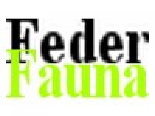 FEDERFAUNA: NOMINATION PER IL PREMIO HITLET, BRAMBILLA IN POLE POSITION