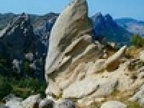 BASILICATA: NO DEI CACCIATORI AL PROGETTO SUI CINGHIALI NEL PARCO DI GALLIPOLI