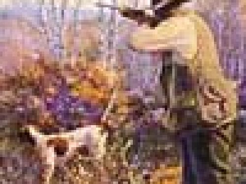 CACCIA IN FIERA PER LE AZIENDE