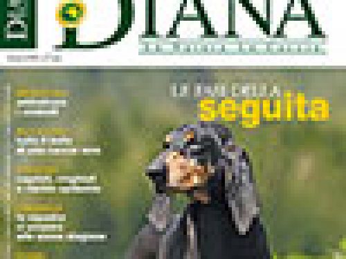 DIANA, N. 12 IN EDICOLA