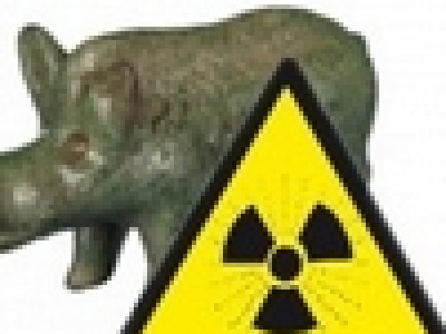 CINGHIALI RADIOATTIVI ANCHE IN AUSTRIA
