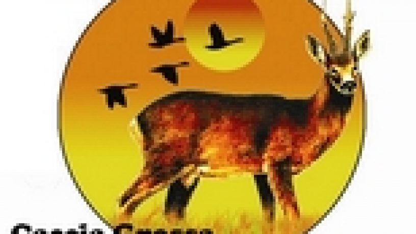 SAFARI INTERNATIONAL