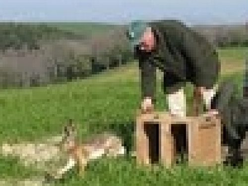 UMBRIA: STAGIONE SENZA RIPOPOLAMENTI PER IL MANCATO RINNOVO DEGLI ATC