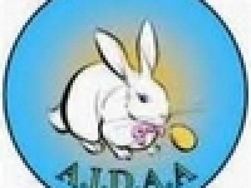 A SETTEMBRE IL VIA AL CORSO ANTICACCIA DI AIDAA