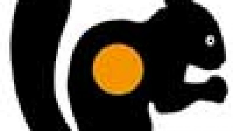 TIRO AD ARIA COMPRESSA: IL FIELD TARGET