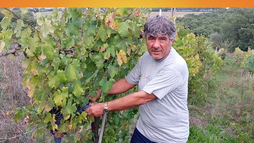 L’AVVOCATO MAURIZIO LORENZINI E’ IL NUOVO PRESIDENTE REGIONALE DI FEDERCACCIA UMBRA