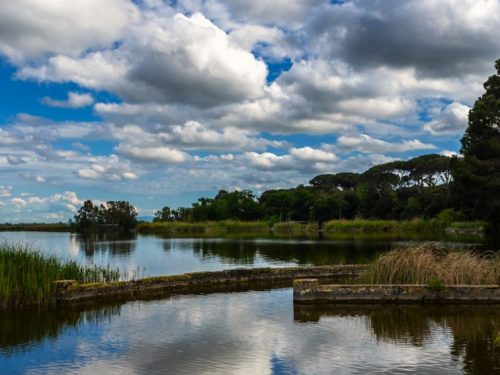 ATTENZIONE AI CAPANNI DA CACCIA A MASSACIUCCOLI
