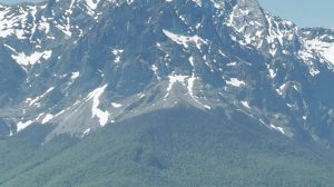 FEDERCACCIA NON D’ACCORDO CON GLI ORNITORLOGI ITALIANI SUL DECRETO MONTAGNA.