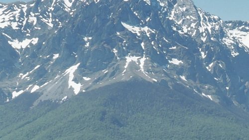 FEDERCACCIA NON D’ACCORDO CON GLI ORNITORLOGI ITALIANI SUL DECRETO MONTAGNA.