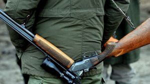 LIPU CONTRO LE REGIONI SUI CALENDARI VENATORI. FEDERCACCIA RISPONDE