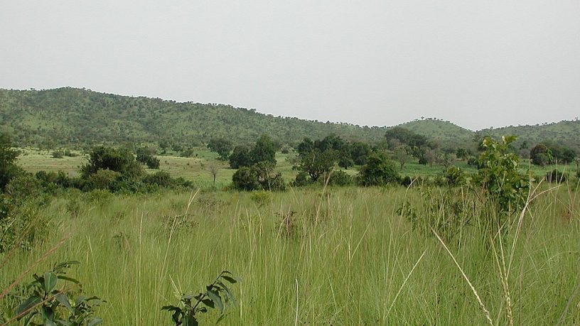 IN APPROVAZIONE I CALENDARI VENATORI