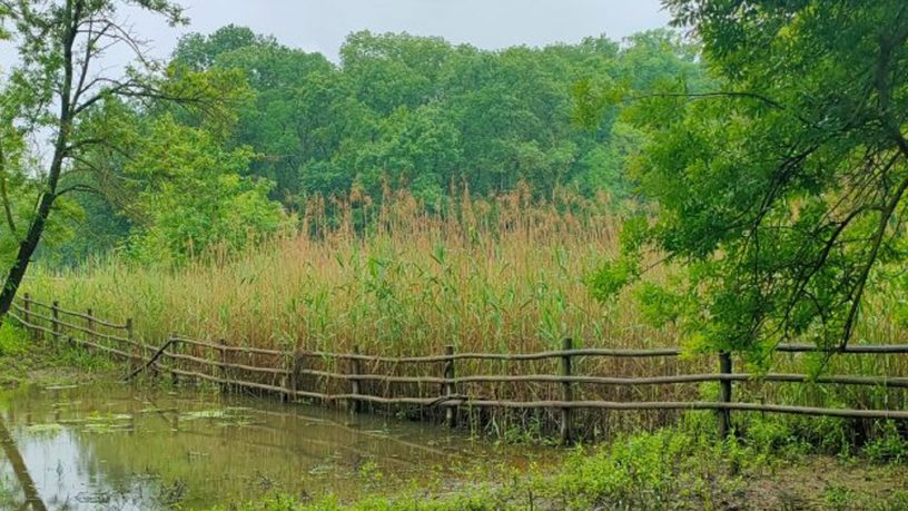 LEGGE SUL RIPRISTINO DELLA NATURA: I CACCIATORI C’ERANO, CI SONO E CI SARANNO.